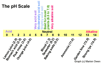pH-scale.gif