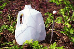 recycled plastic milk jug