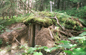 root cellar